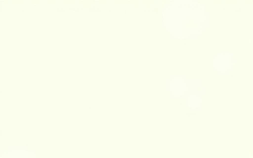 Infographic of Blue Gum's 8-step shoe manufacturing process